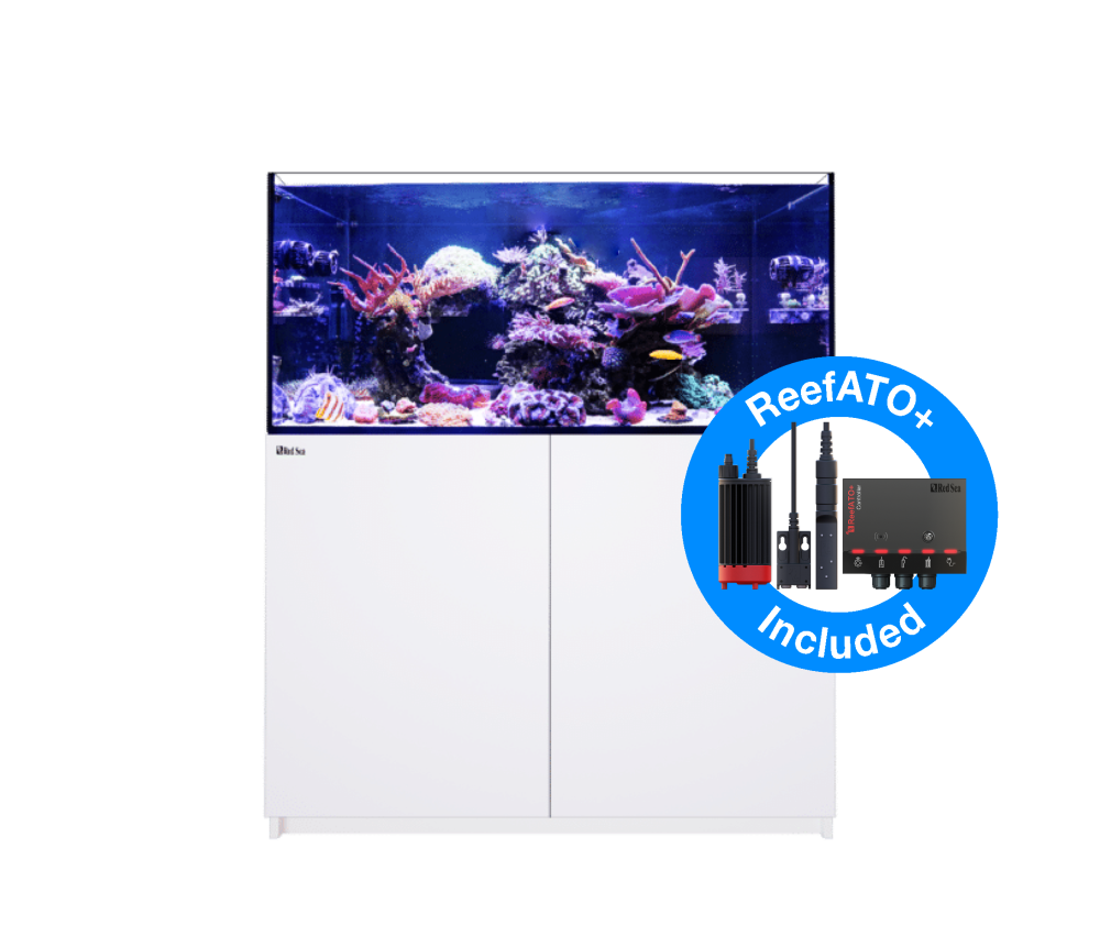 Red Sea Reefer 300 G2+ DELUXE Meerwasseraquarium Komplettset Red Sea Reefer 300 G2+ DELUXE Meerwasseraquarium Komplettset